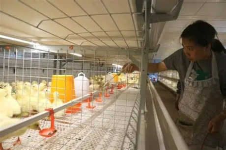 resized-OIP-C (2).webp