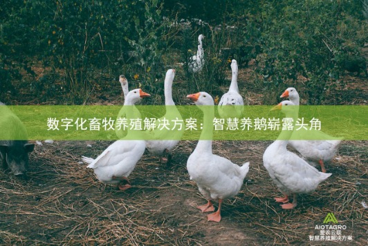 欣悦生态鹅业首推“鹅肉溯源NFT”，数字化赋能品牌信任体系