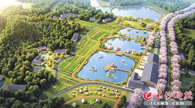 “一只鹅”从庭院走向全产业链